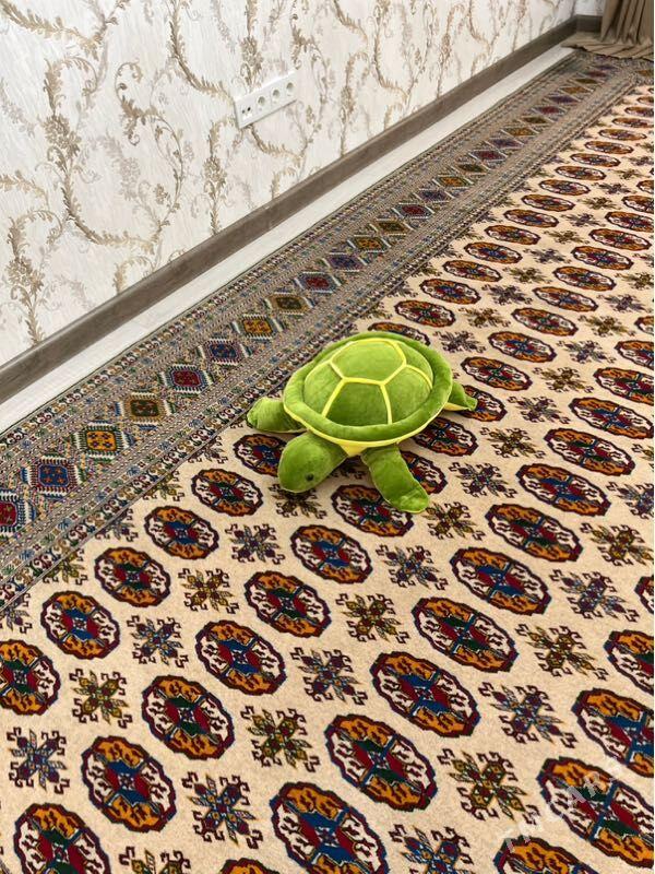 miska - Aşgabat - img 1