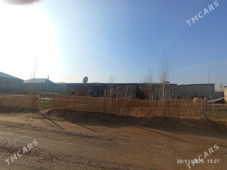 satlyk Jay anew daca - Ak bugdaý etraby - img 1