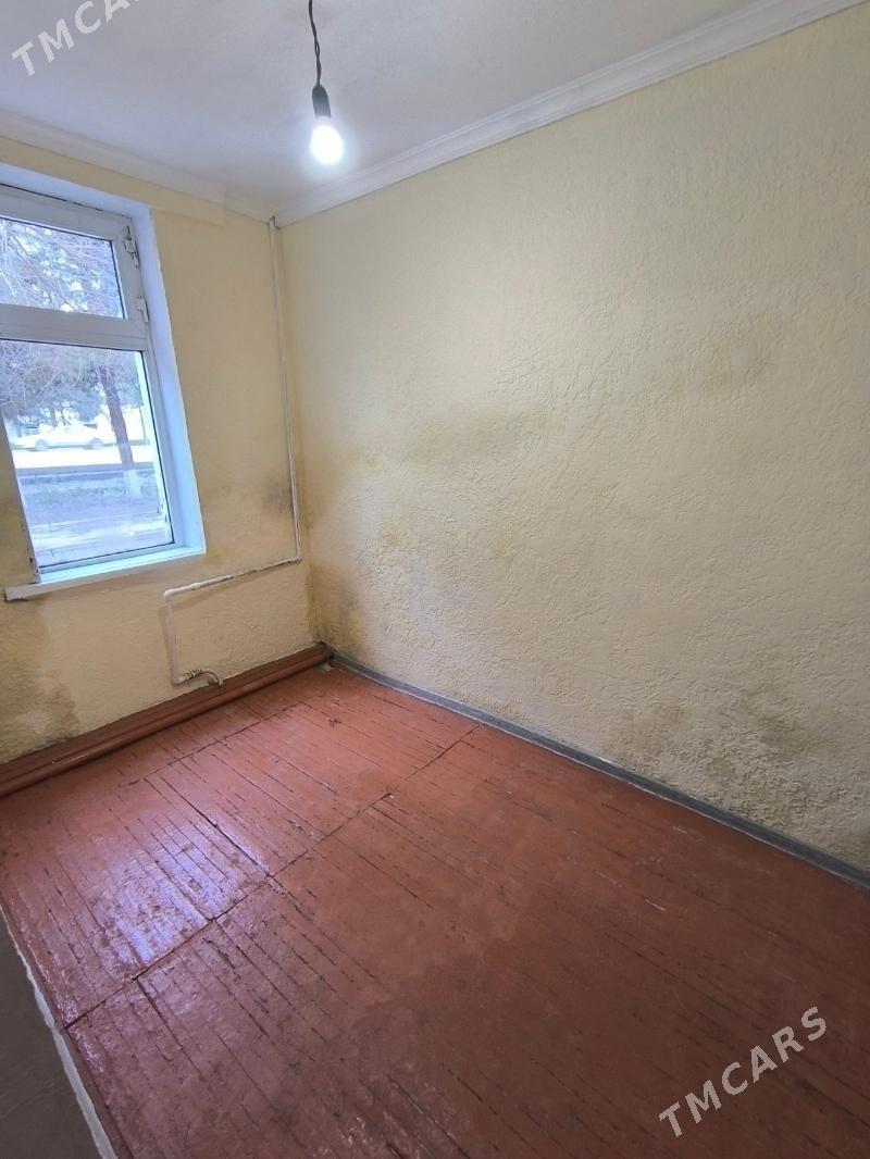 Satlyk jay - Mary - img 1