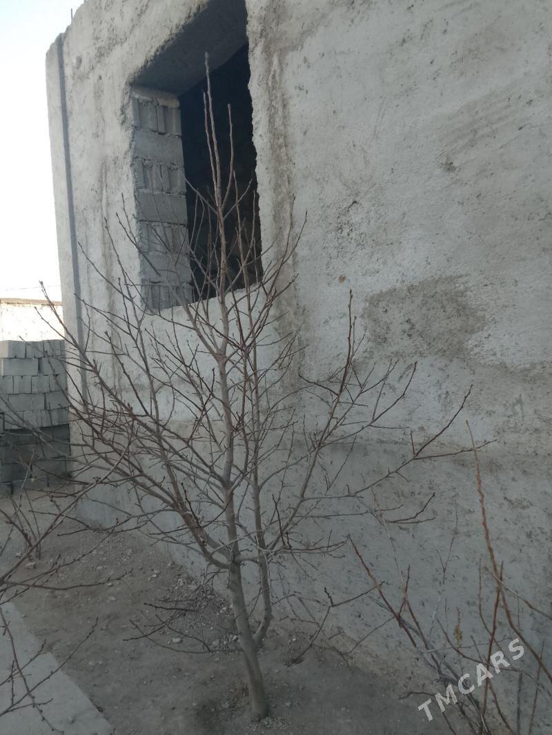 Baglar - Балканабат - img 1