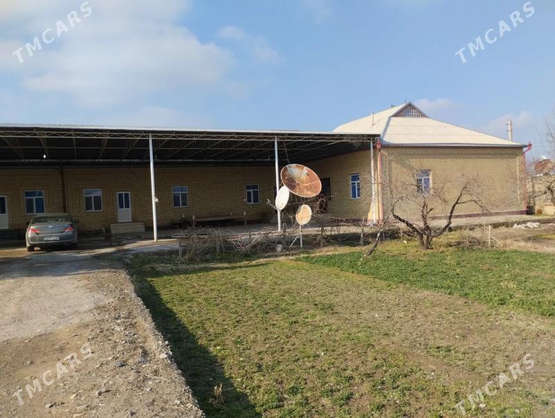 Satlyk jay Uly howly - Mary - img 1