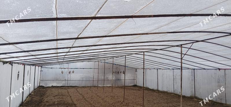 oy hojalyk parnik - Мары - img 1