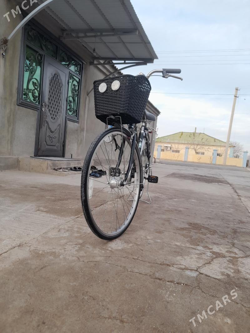 tigir - Büzmeýin - img 1