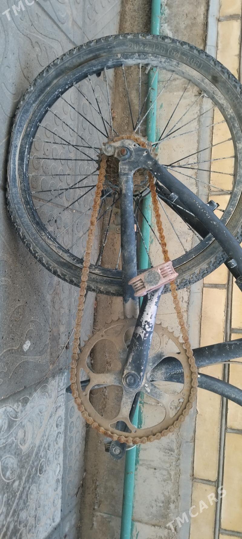 Welsepet Kama 20Lyk - Murgap - img 1