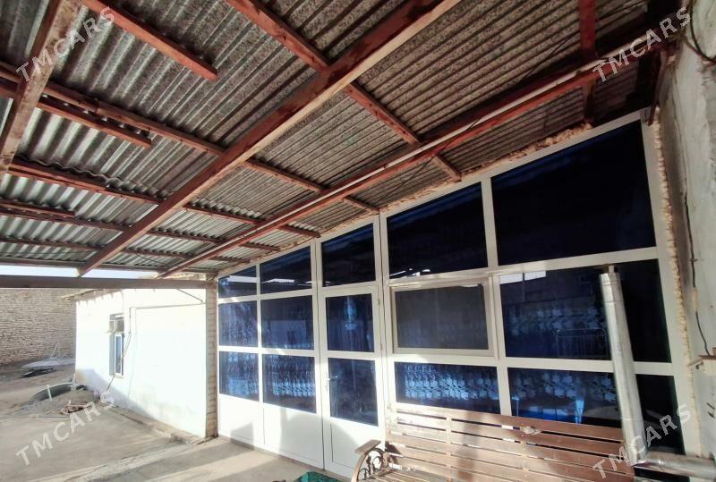 satlyk jay - Murgap - img 1