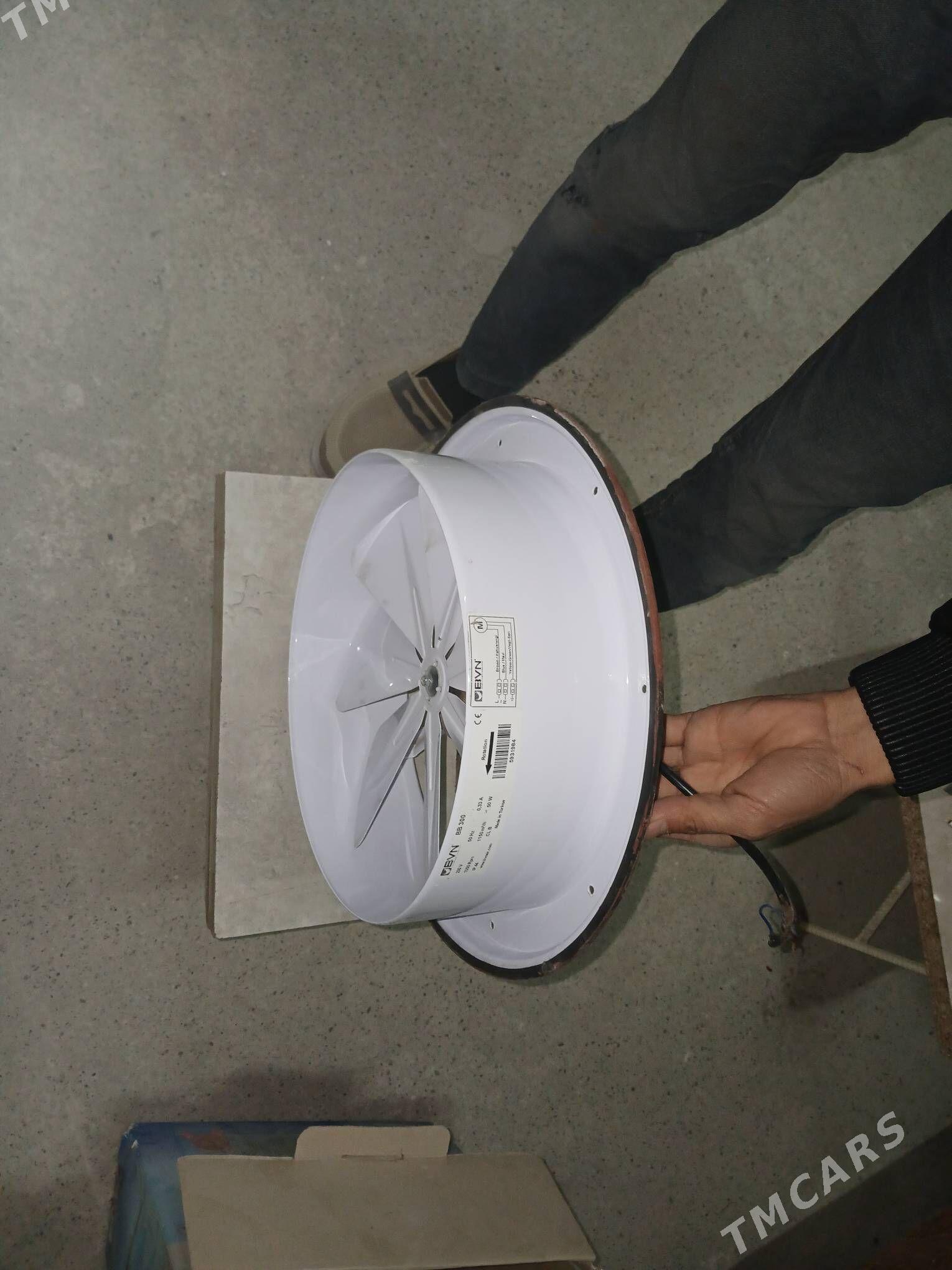 witicga - Änew - img 1