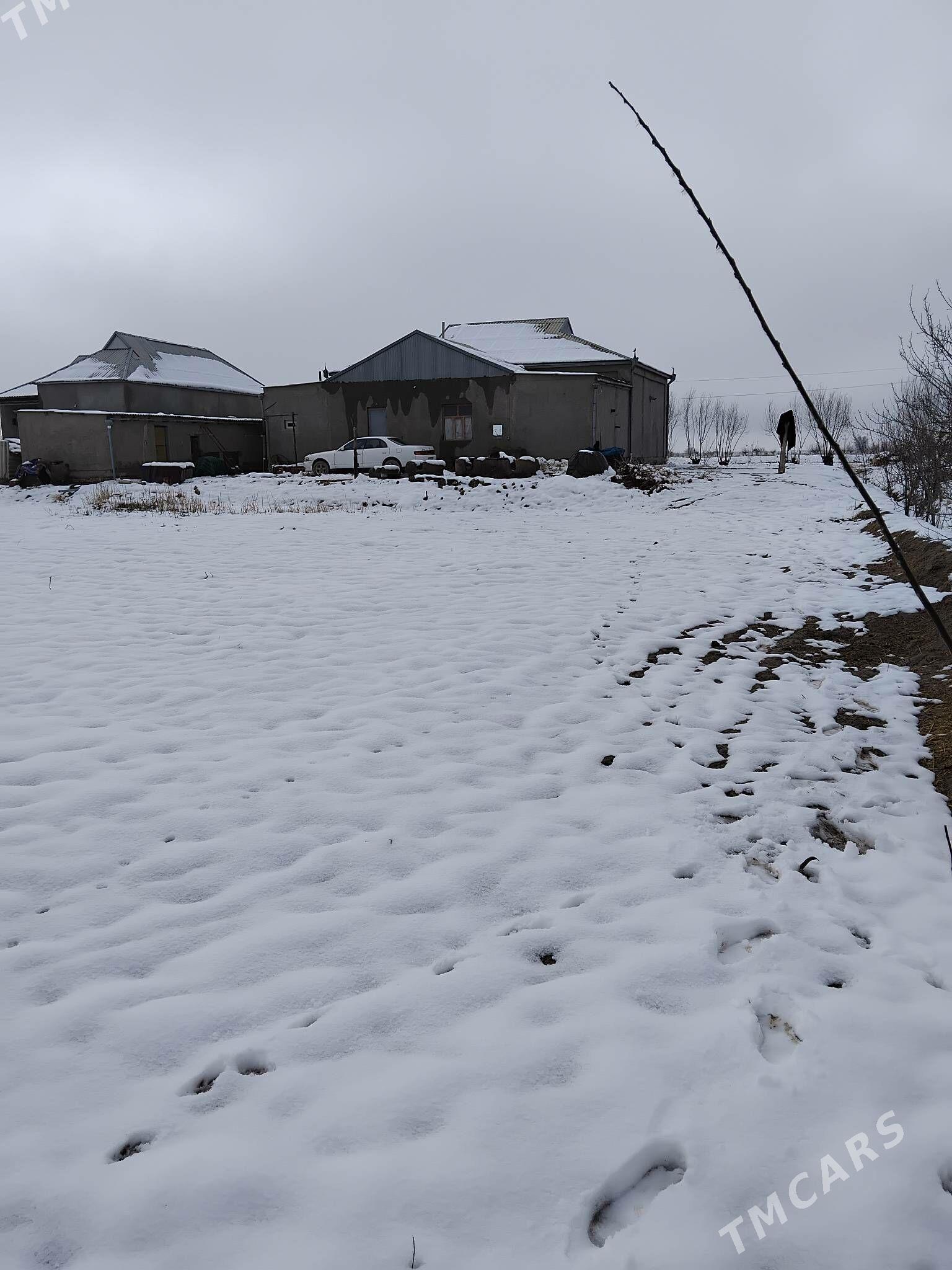 satlyk jay - Ýolöten - img 1