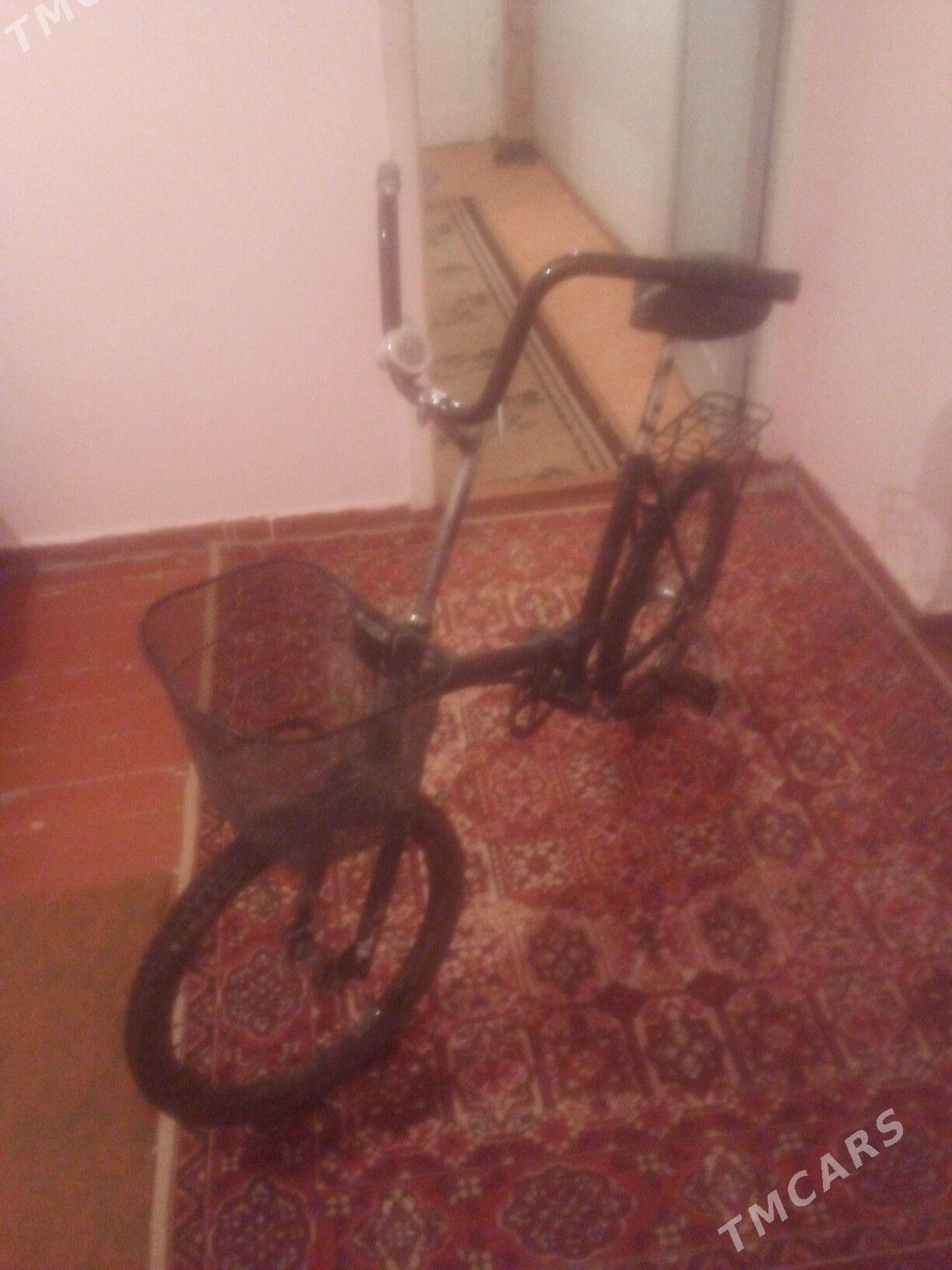 kama welk - Türkmenabat - img 1