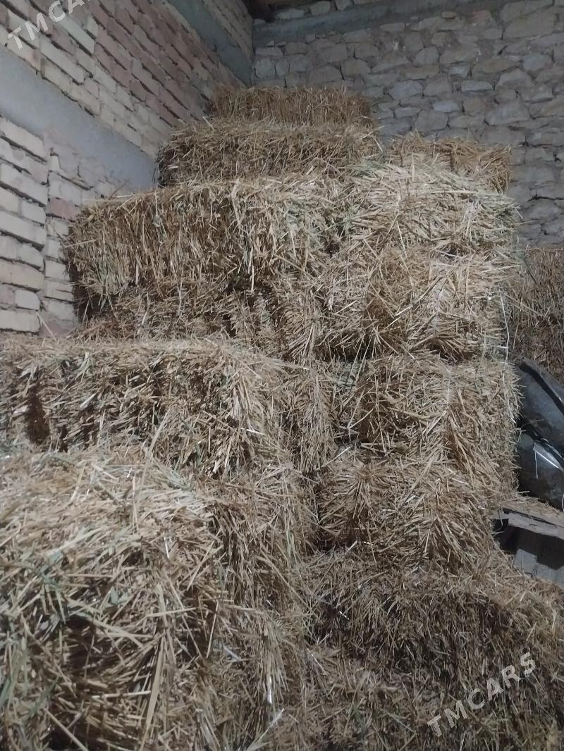 saman press - Гызыларбат - img 1