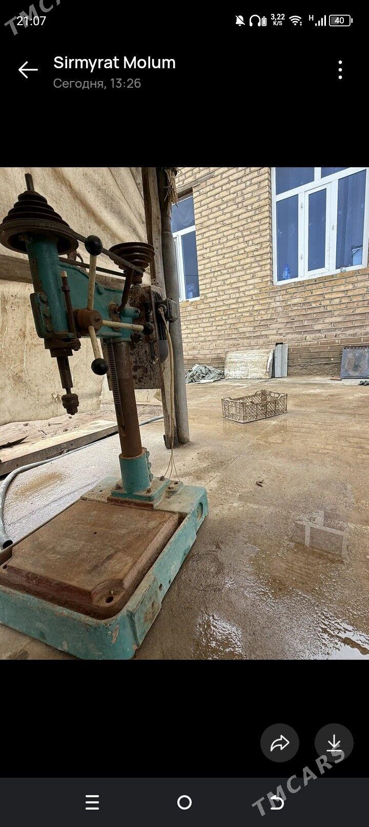 drel - Sakarçäge - img 1