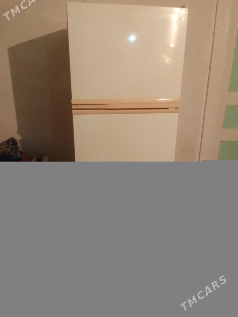 Haladilnik - Mary - img 1