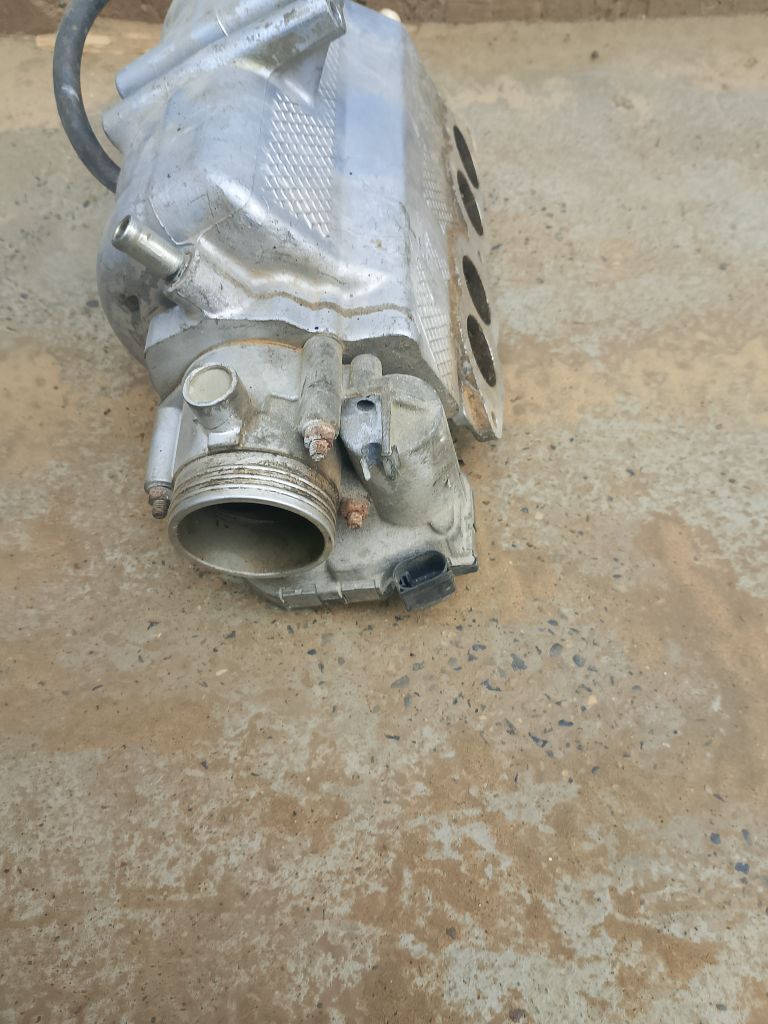 injekdir 600 TMT - Sakarçäge - img 1