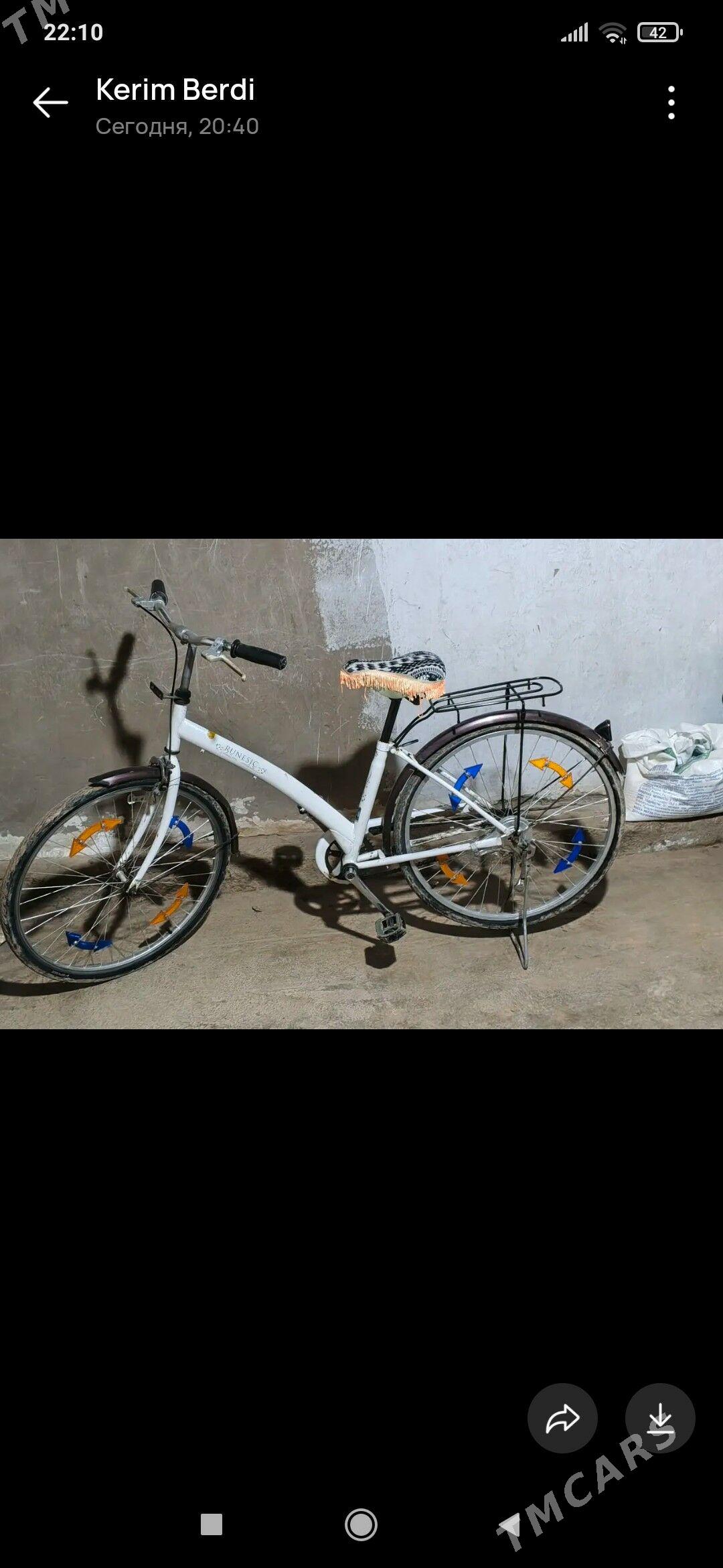 Tigir - Теджен - img 1