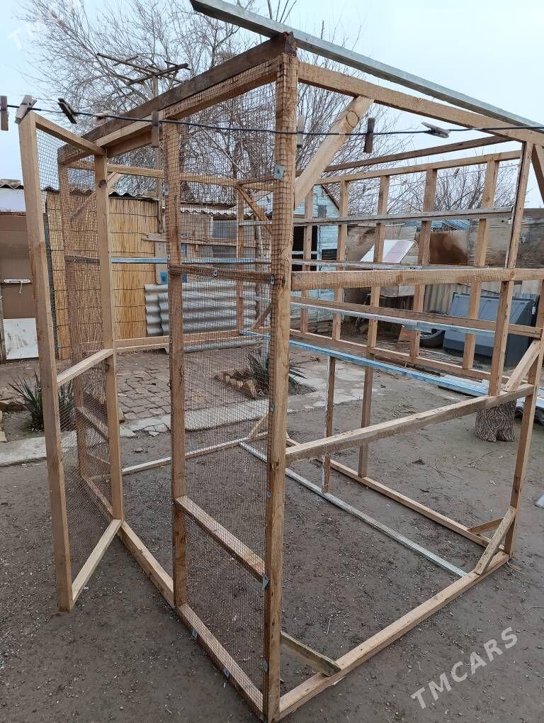 kepderi - Wekilbazar - img 1