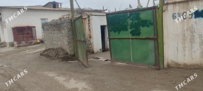 HovlyHovly - Magdanly - img 1