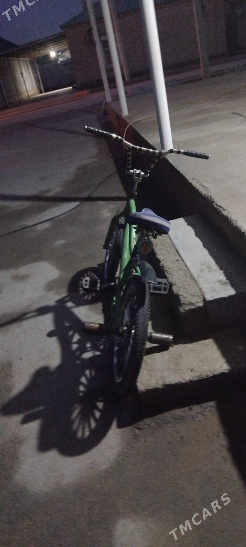 DUGA TIGIR - Бузмеин - img 1