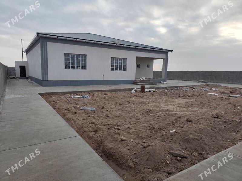 jay ipateka - Daşoguz - img 1