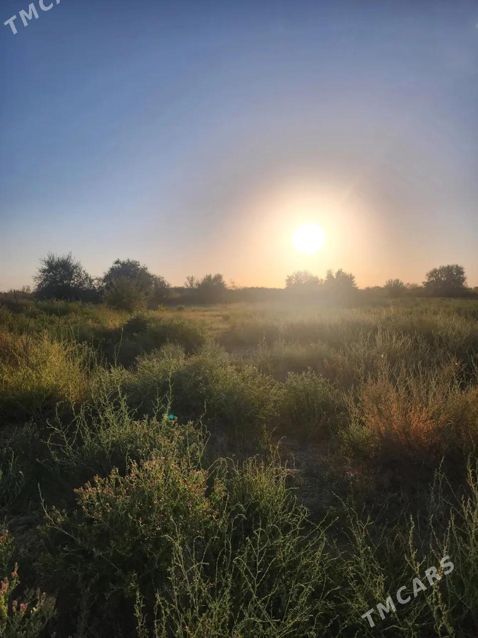 SATLIK EKIŞKAR YER 2GT - Дянев - img 1