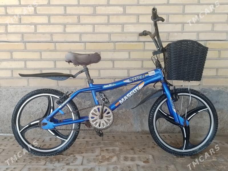 Welisoped - Sakarçäge - img 1