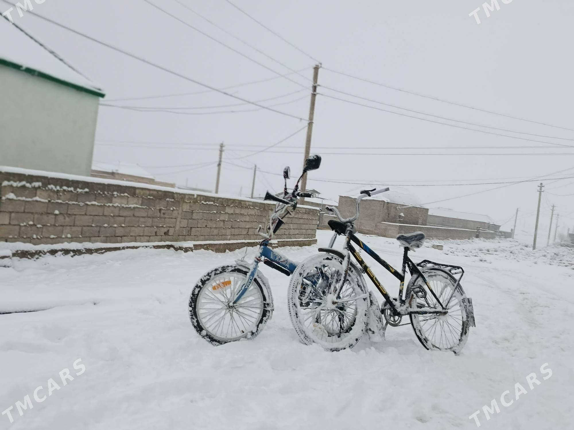 kama tigir - Bäherden - img 1