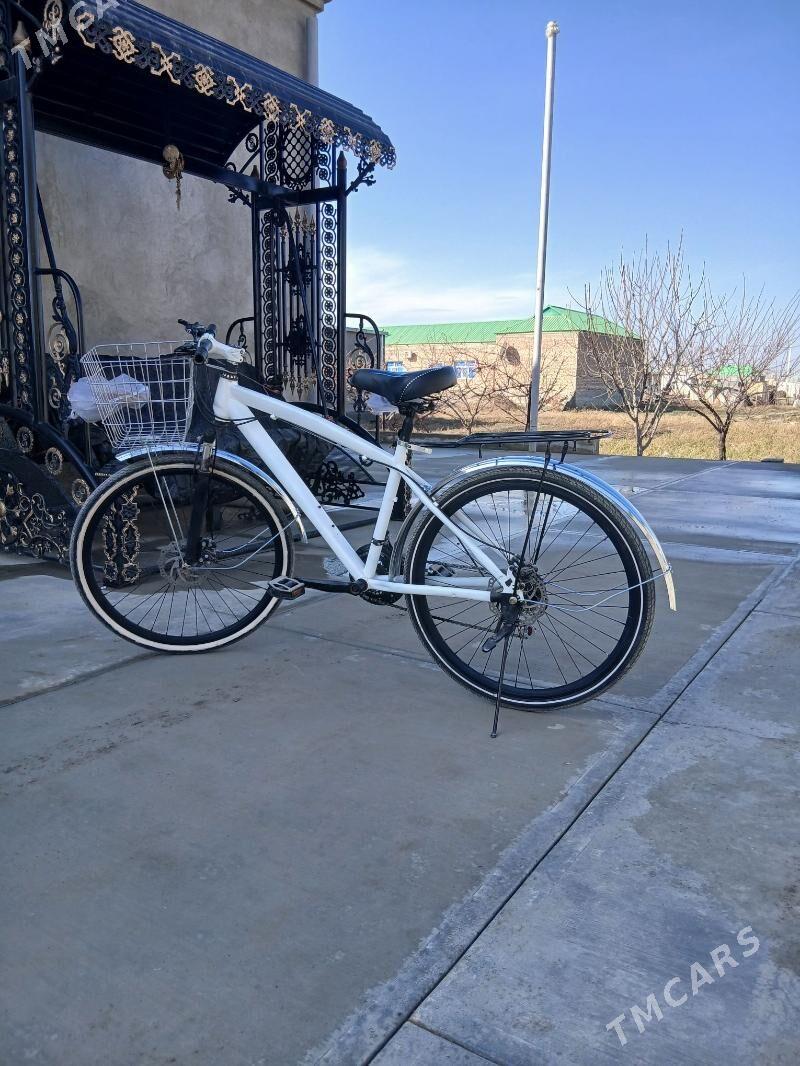 ады тигир - Гёкдепе - img 1