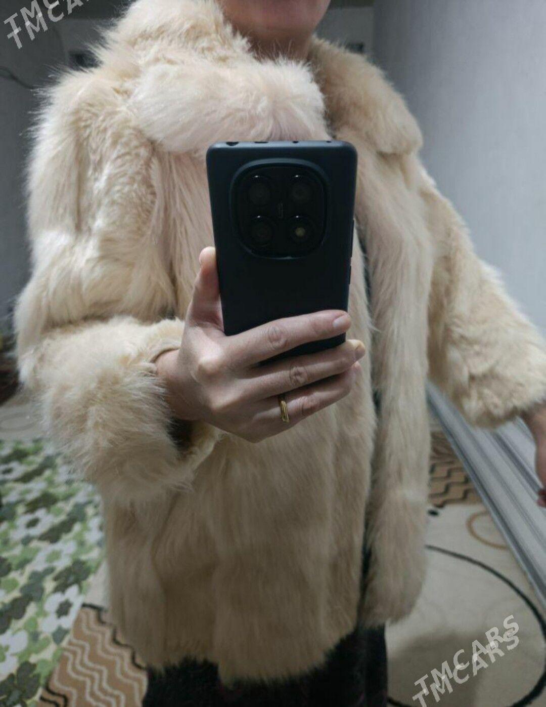 Şuba - Кёнеургенч - img 1