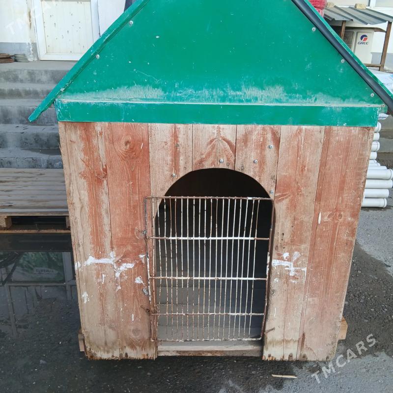 It yatak - Aşgabat - img 1