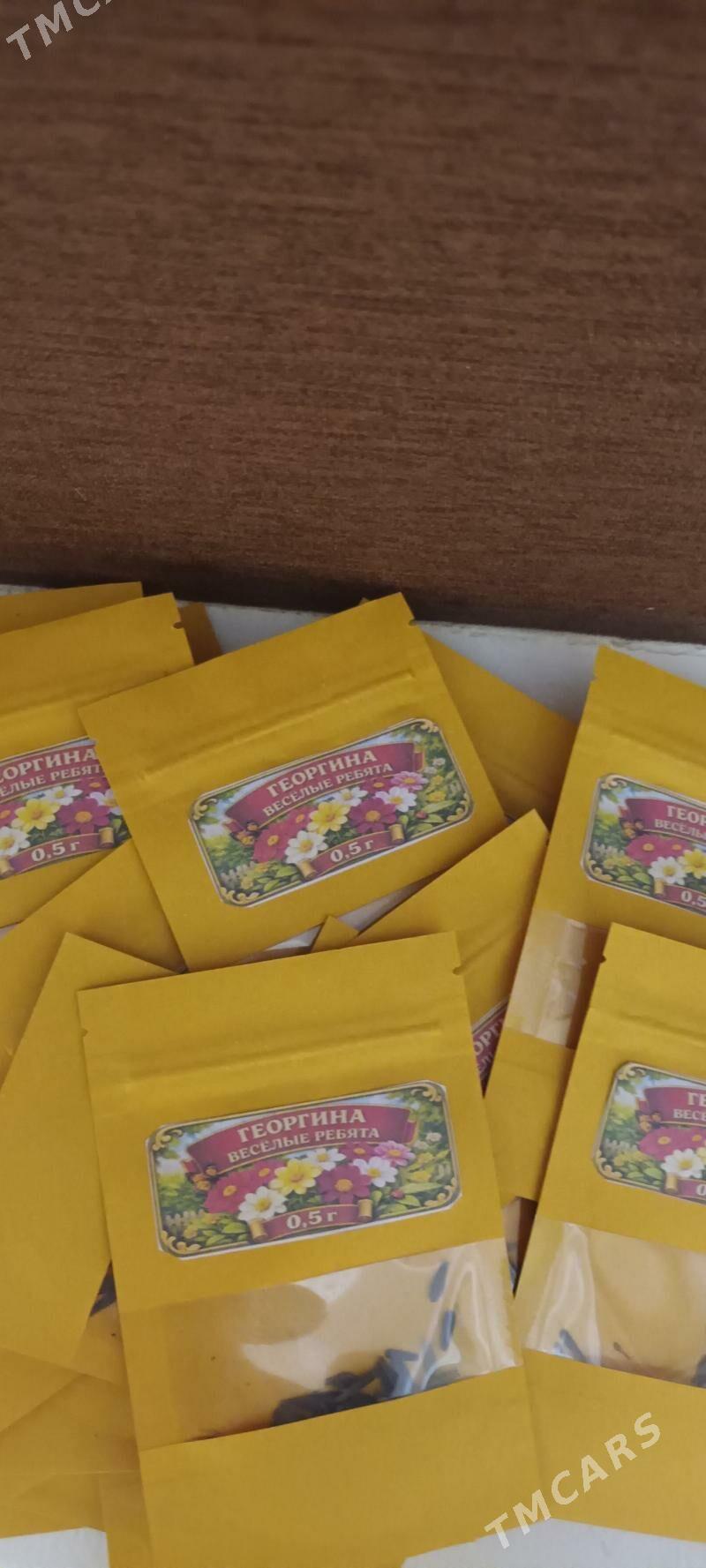 Семена Георгины -Веселые ребят - Туркменабат - img 1