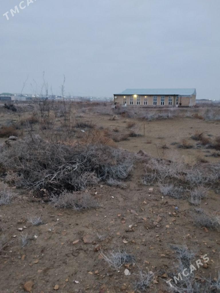 Satlyk Mellek - Türkmenabat - img 1