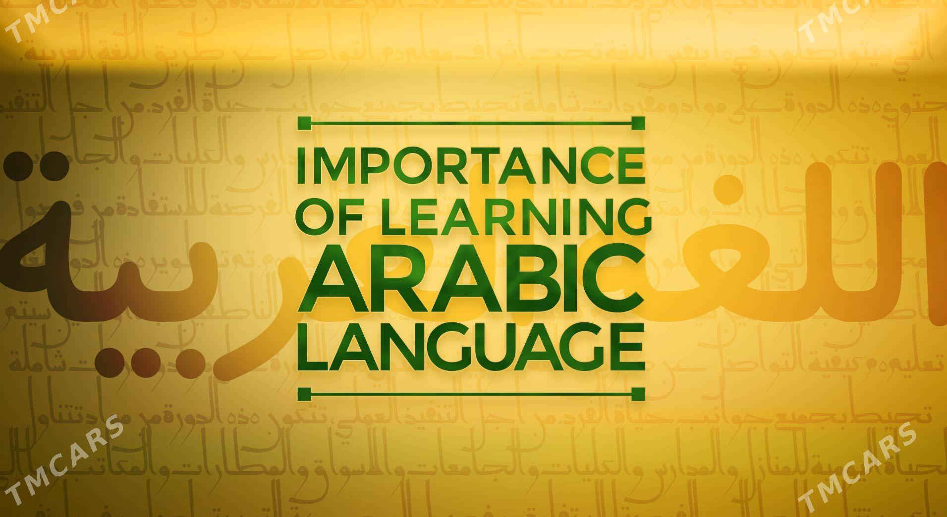 Repetitor(arap-dili) - Ашхабад - img 1