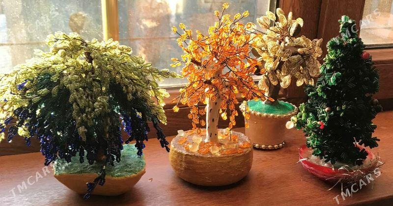 Декоративные деревья - Туркменбаши - img 1