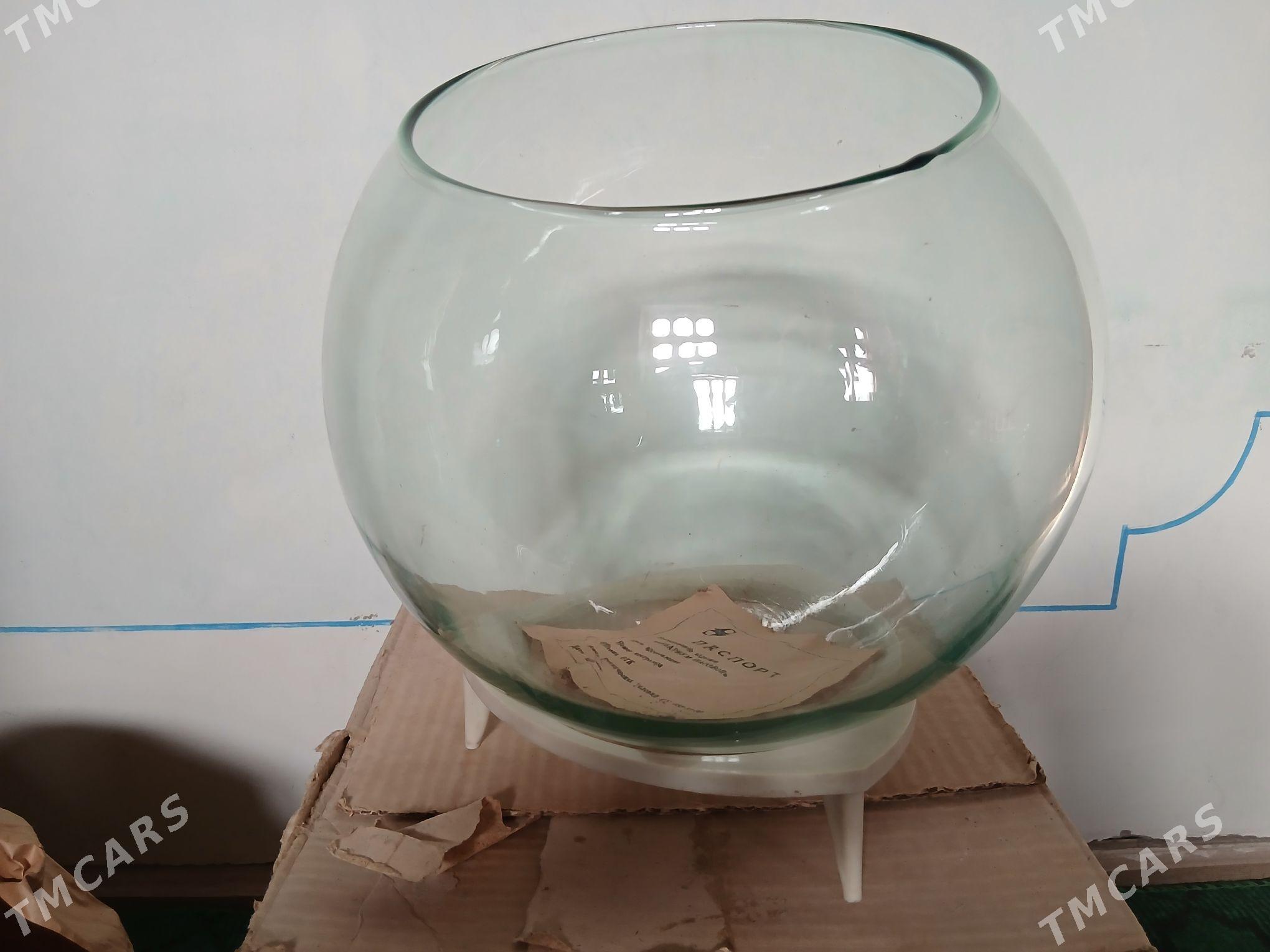 Akwarium ( Аквариум) - Дашогуз - img 1