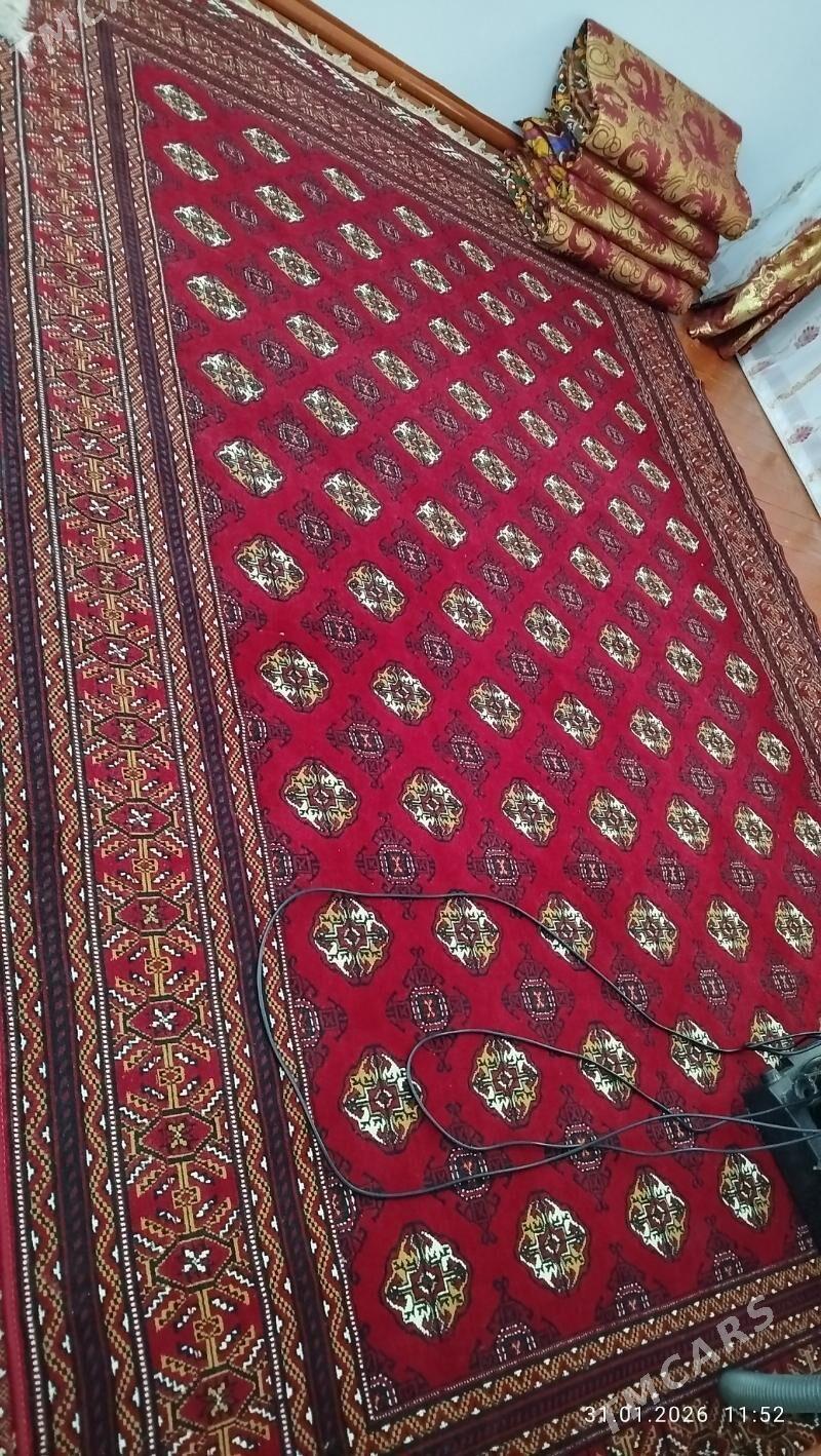 haly - етр. Туркменбаши - img 1