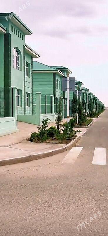 Kotej - Мары - img 1