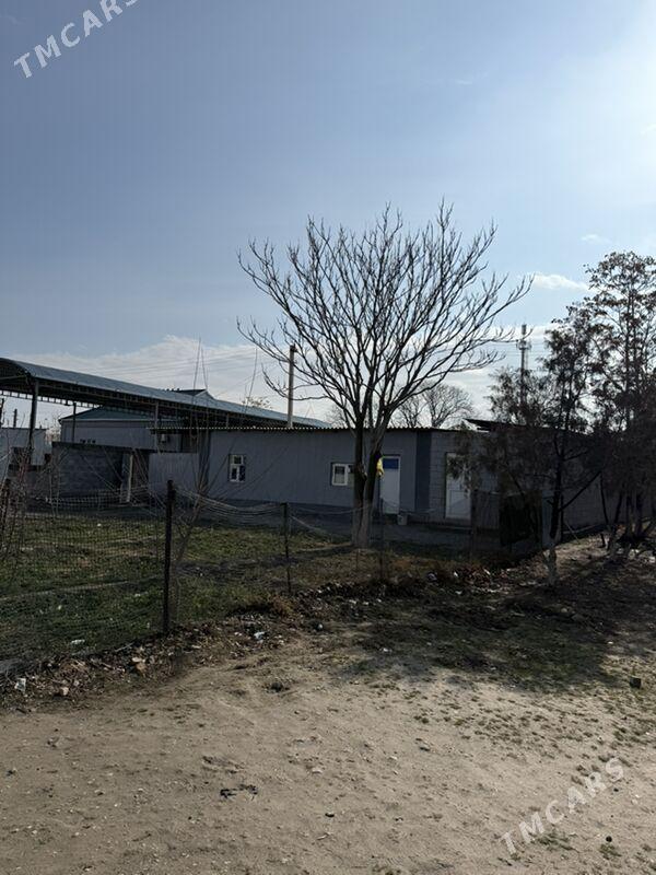 Bekrewe - Bekrewe - img 1