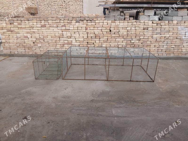 juje ketek - Türkmenabat - img 1