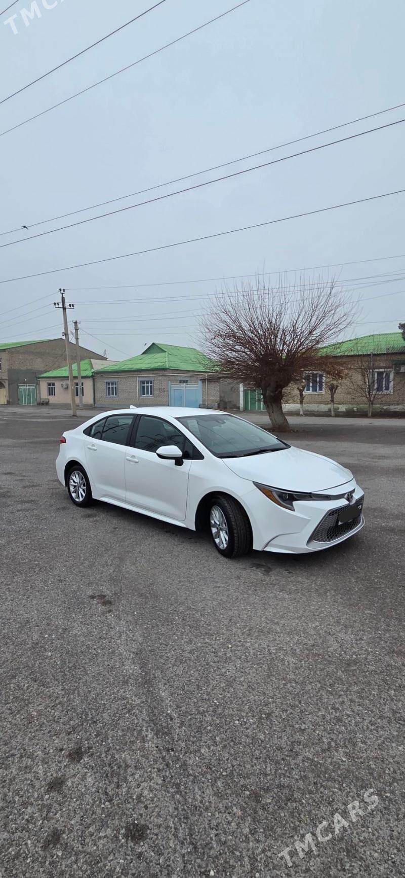 Toyota Corolla 2021 - 235 000 TMT - Aşgabat - img 1