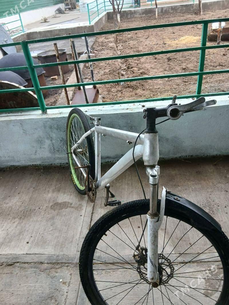 tigir - Тязе заман - img 1