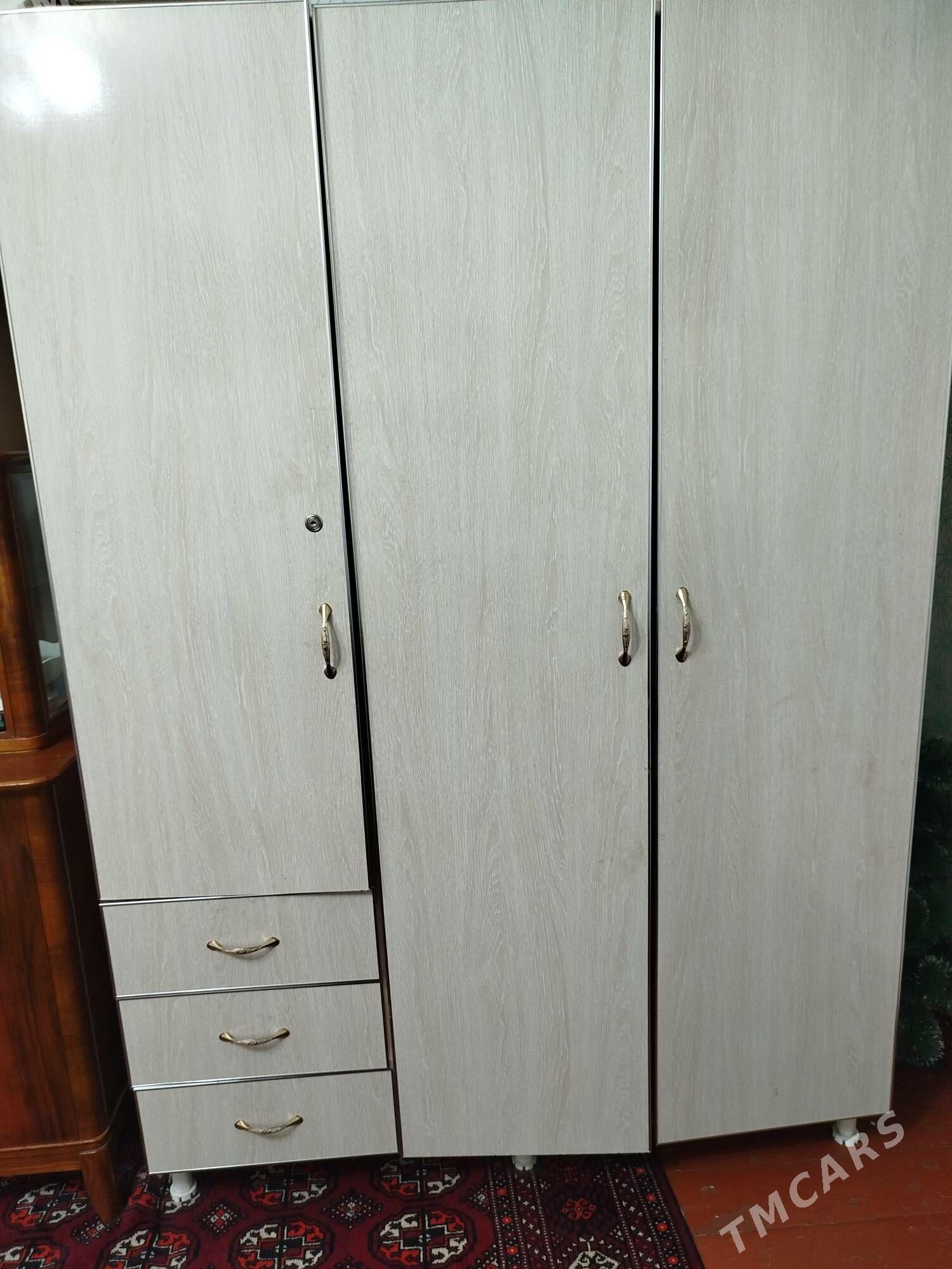 skaf - Daşoguz - img 1