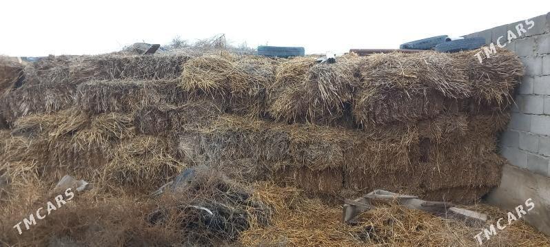 pres saman - Гёкдепе - img 1