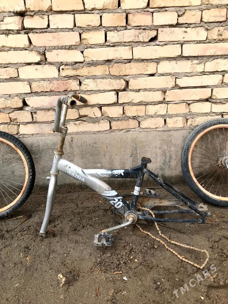 tigir - Türkmenabat - img 1