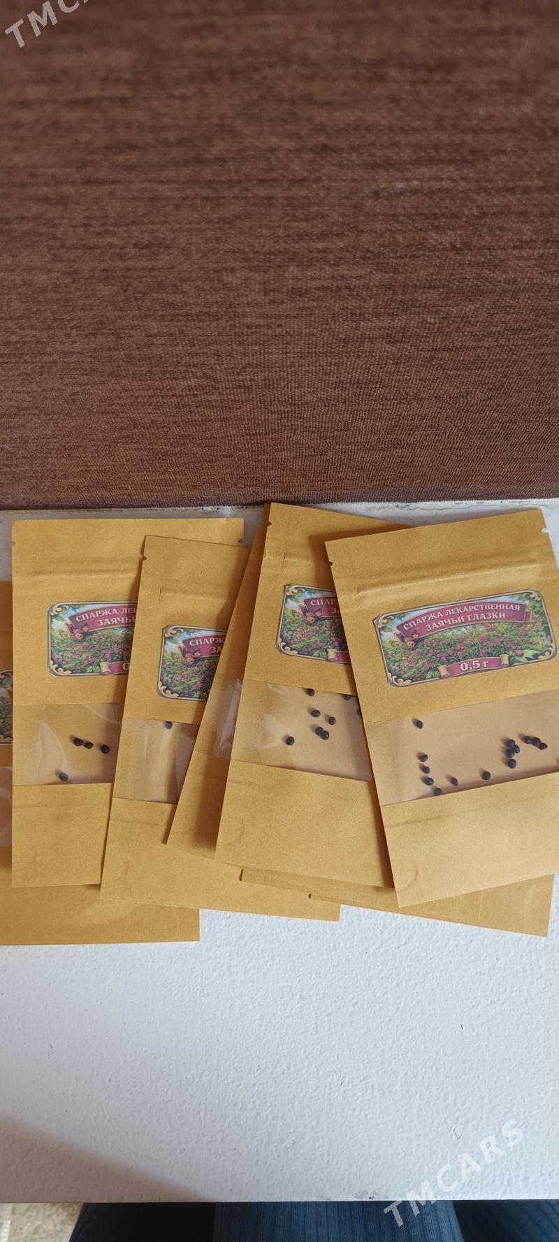 Семена -Спаржа лекарственная - Туркменабат - img 1