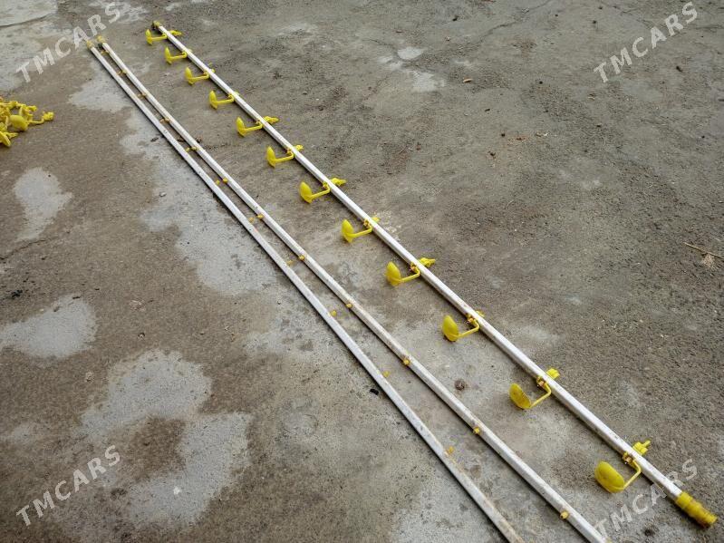 товык ве жуже учин - Туркменабат - img 1