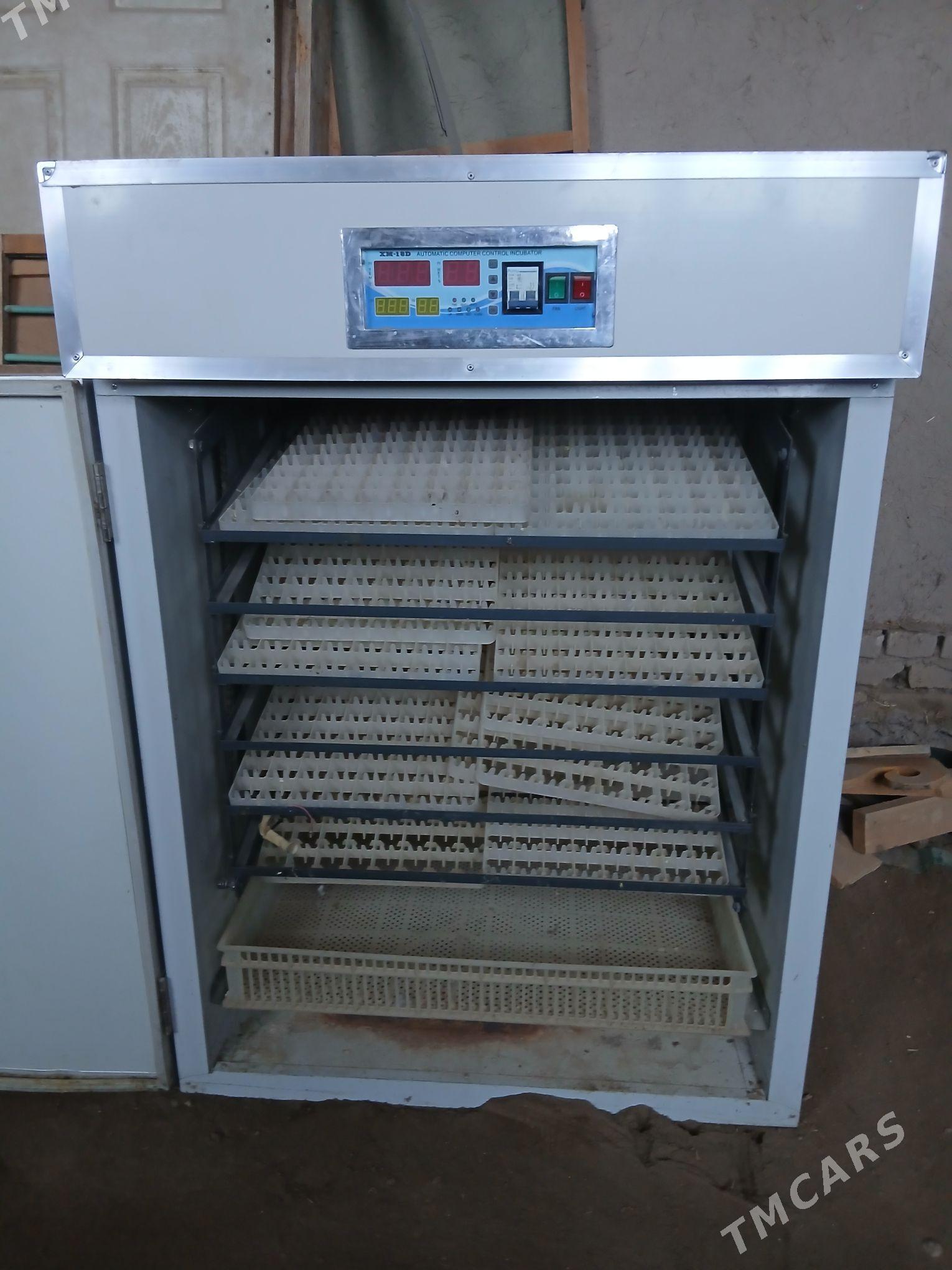 juje çykaren inkawator - Акдепе - img 1