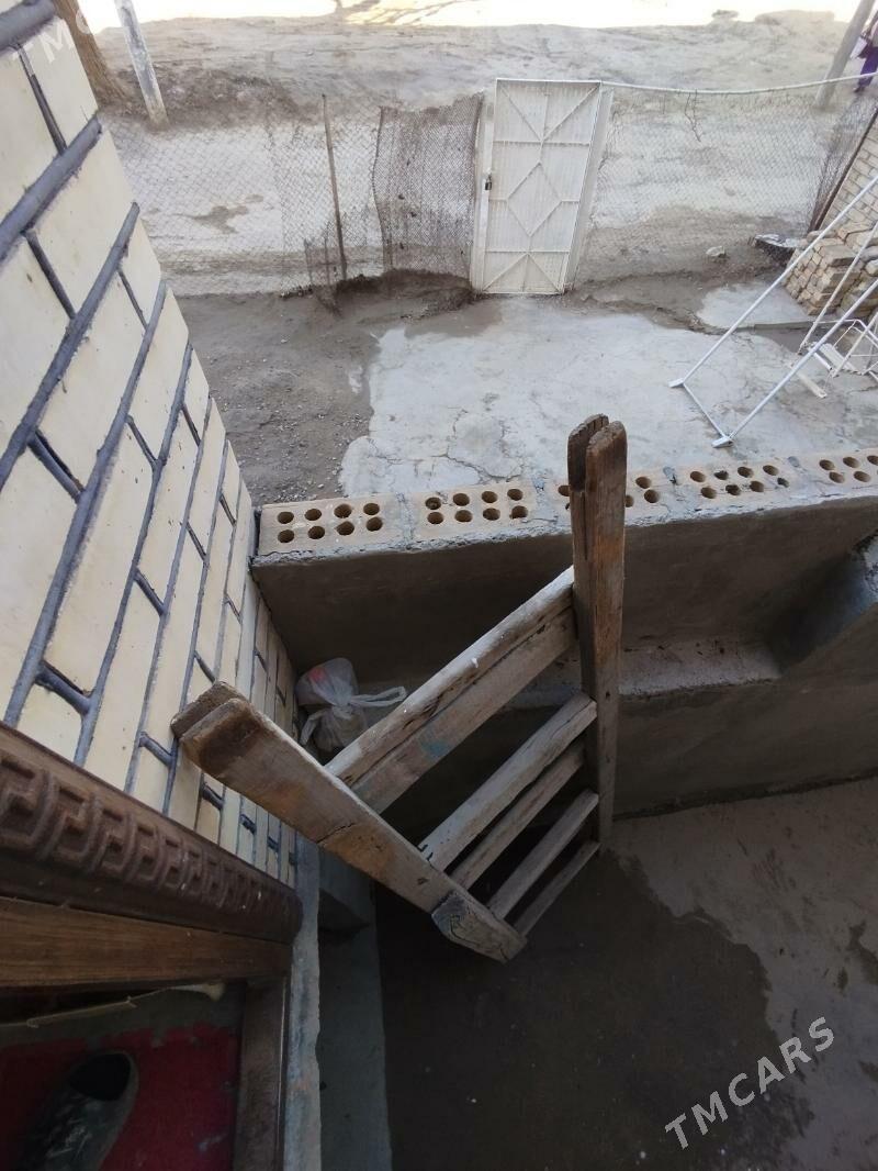 Satlyk jay - Mary - img 1