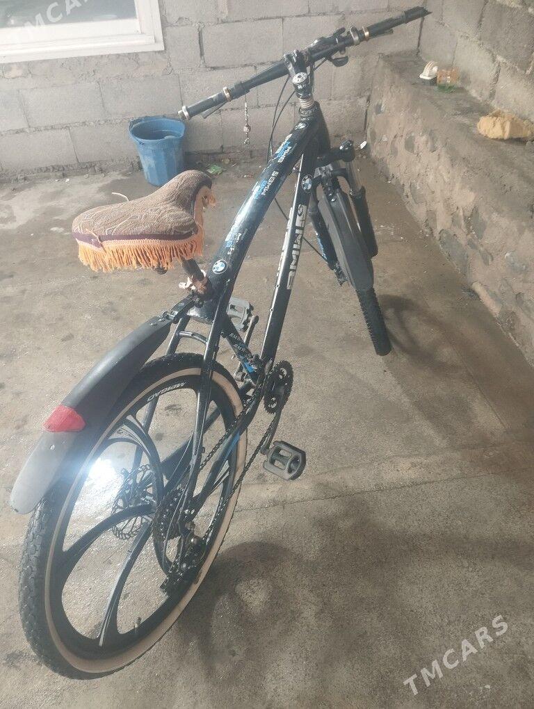 Bmb tigr - Bäherden - img 1