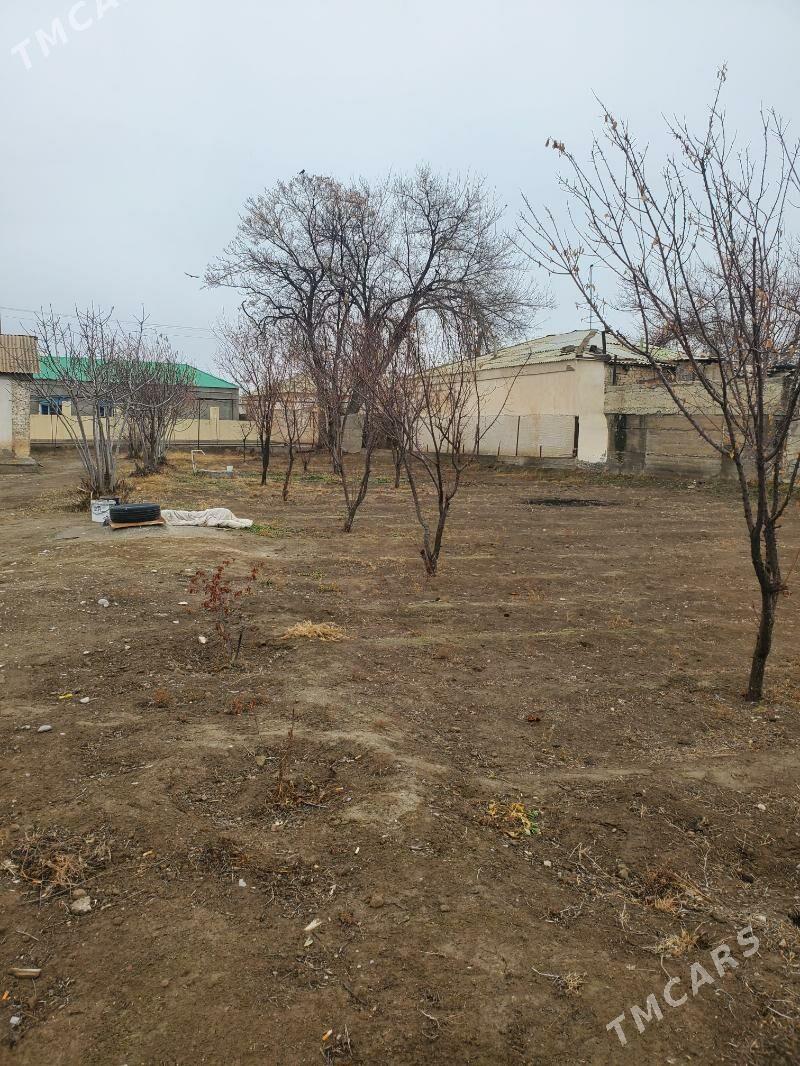 bagyr mellek yer - Bagyr - img 1