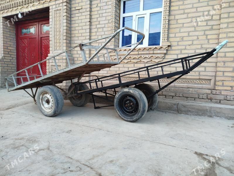 ARVA - Köneürgenç - img 1