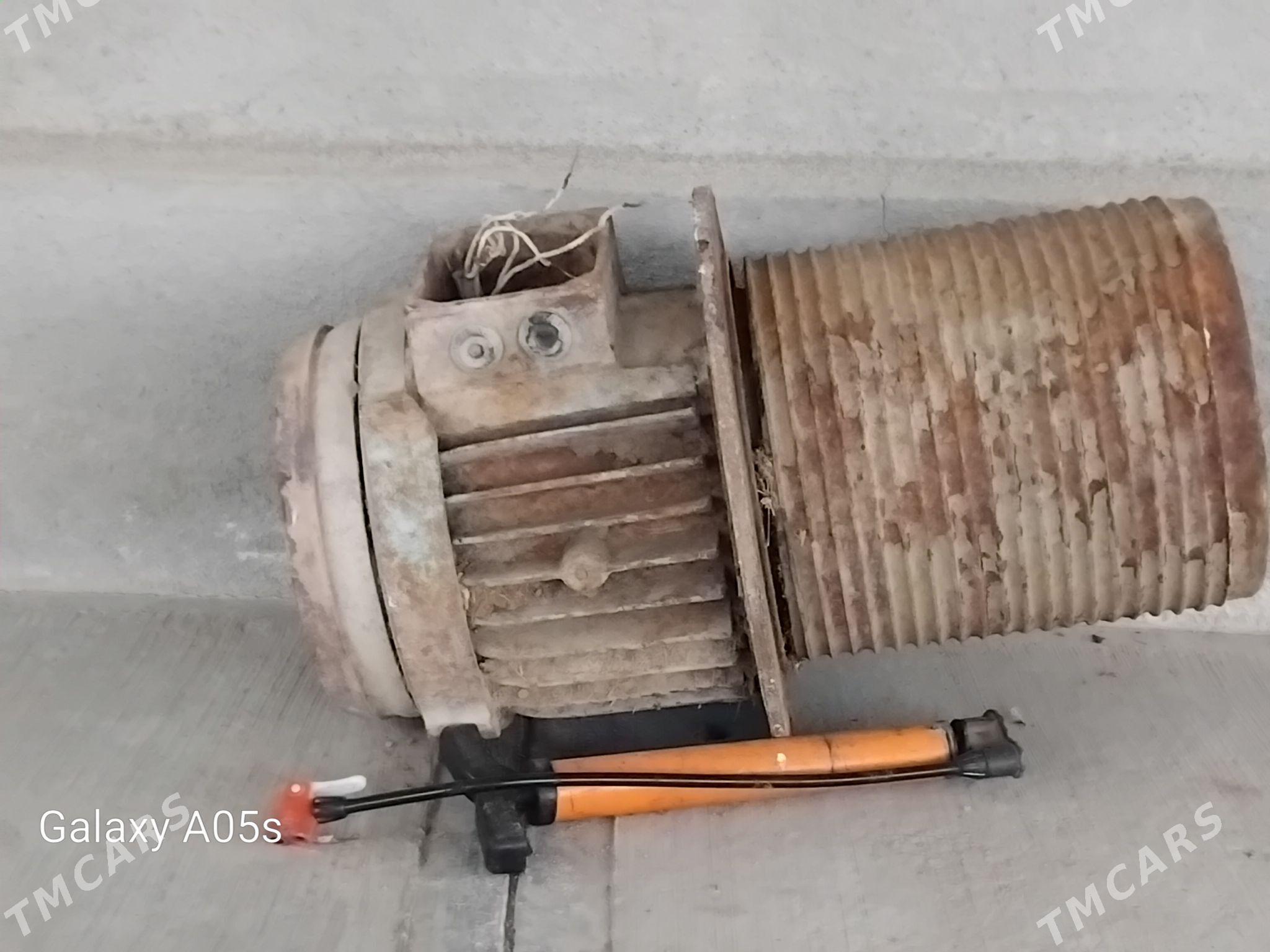 Matoe - Bäherden - img 1