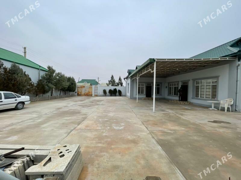 Çoganly 12sotok howly plan - Чоганлы - img 1